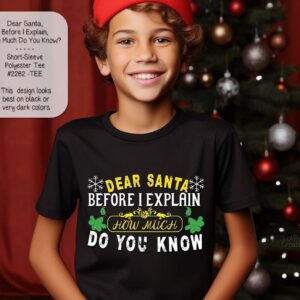 Funny Santa Shirt