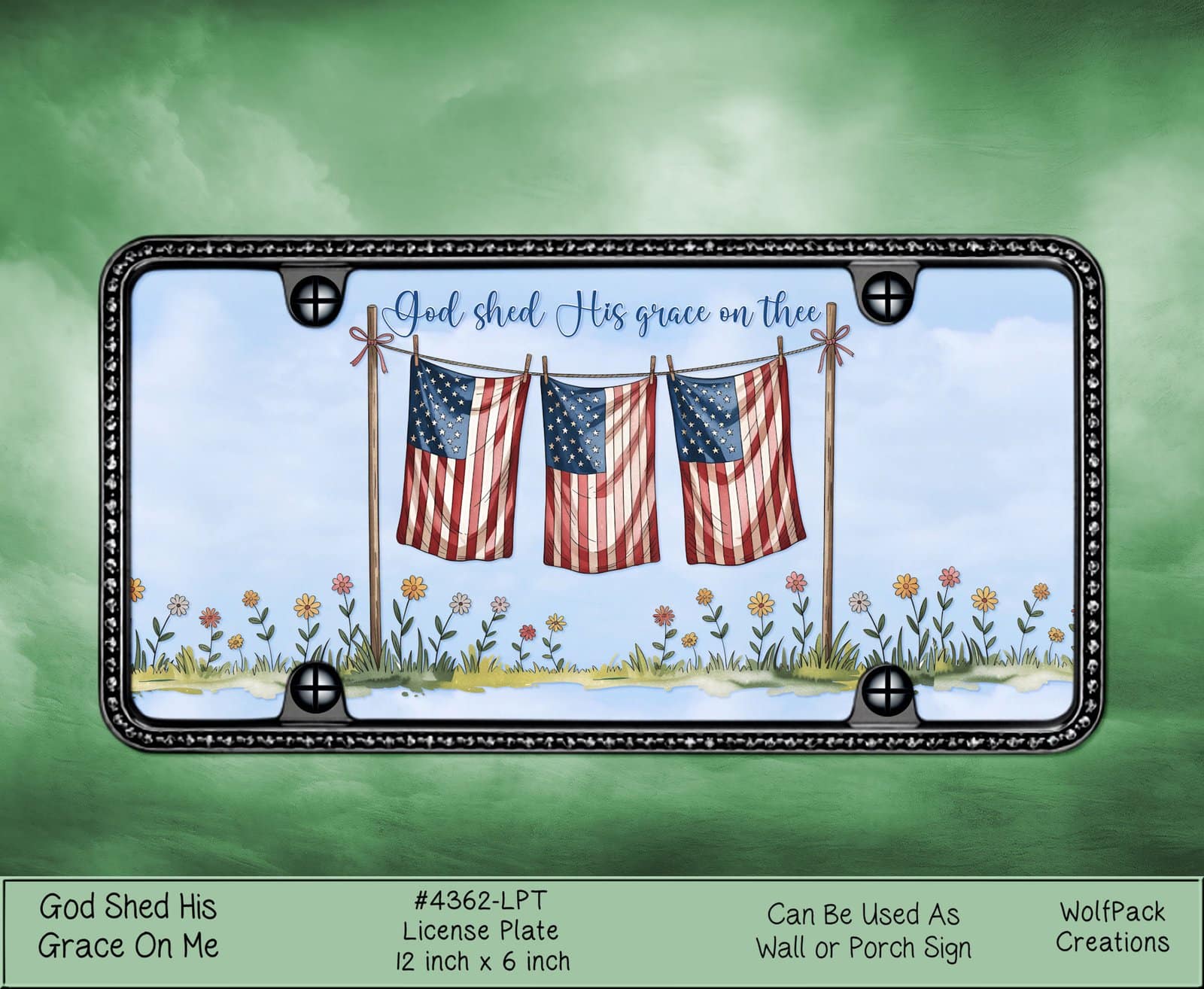 License Plate God Shed His Grace on Thee