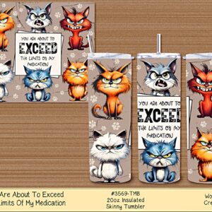 Exceed the Limits Skinny Tumbler
