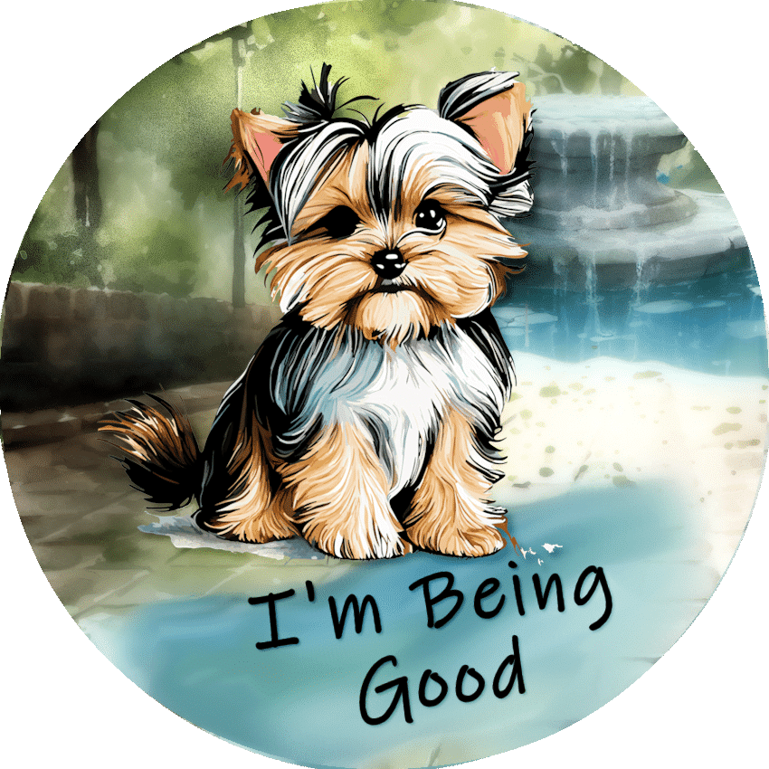 Yorkie Puddle Fun Car Coasters